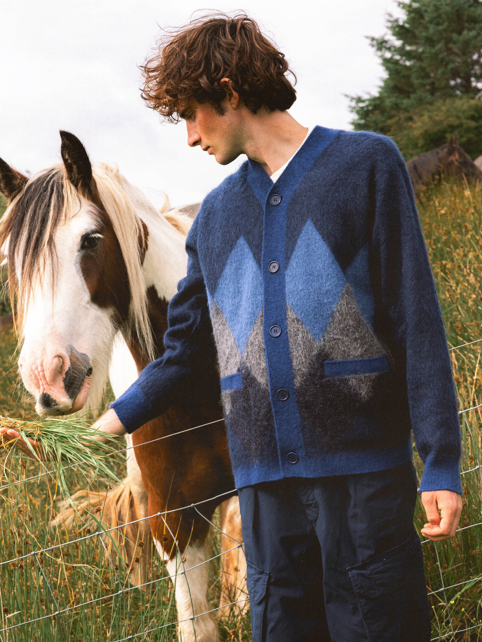 Man in a blue patterned cardigan standing next to a horse in a field