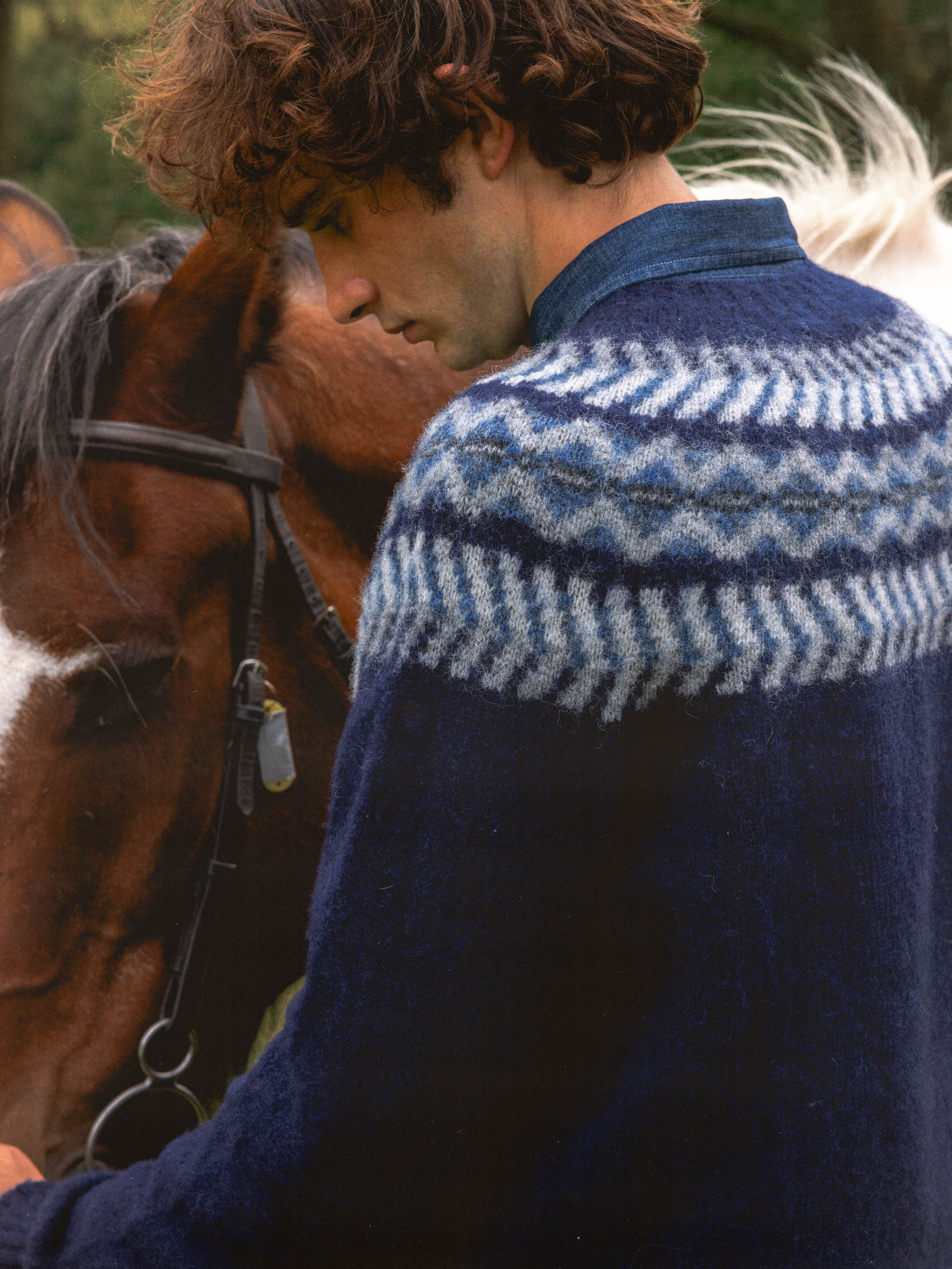 A man in a navy brushed wool scottish fairisle pattern crew, with horses alongside him in the background