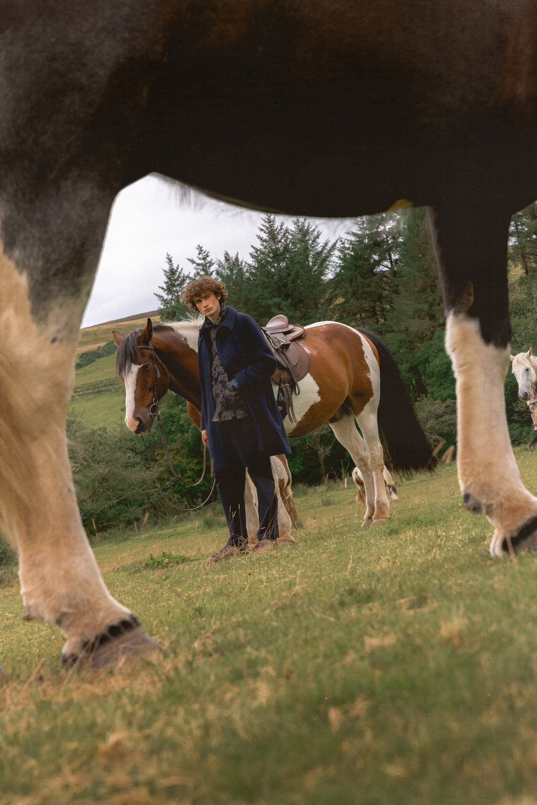 AW25 | Mull Of Kintyre