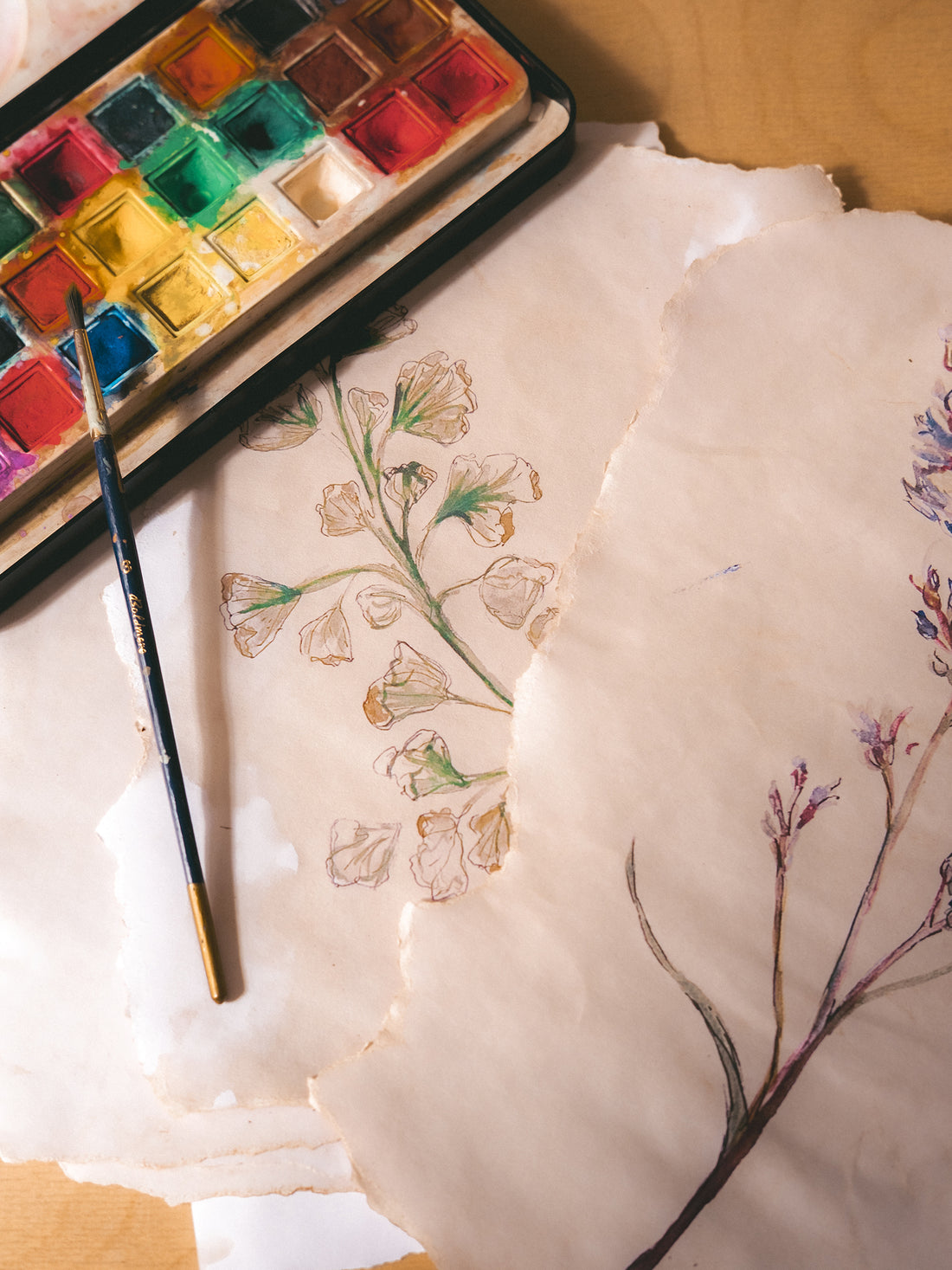 Alpine Blue Sow-Thistle Print