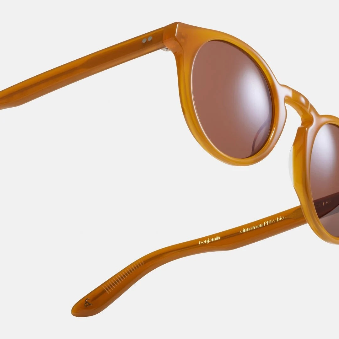 Ace & Tate Benjamin Sunglasses in Cinnamon