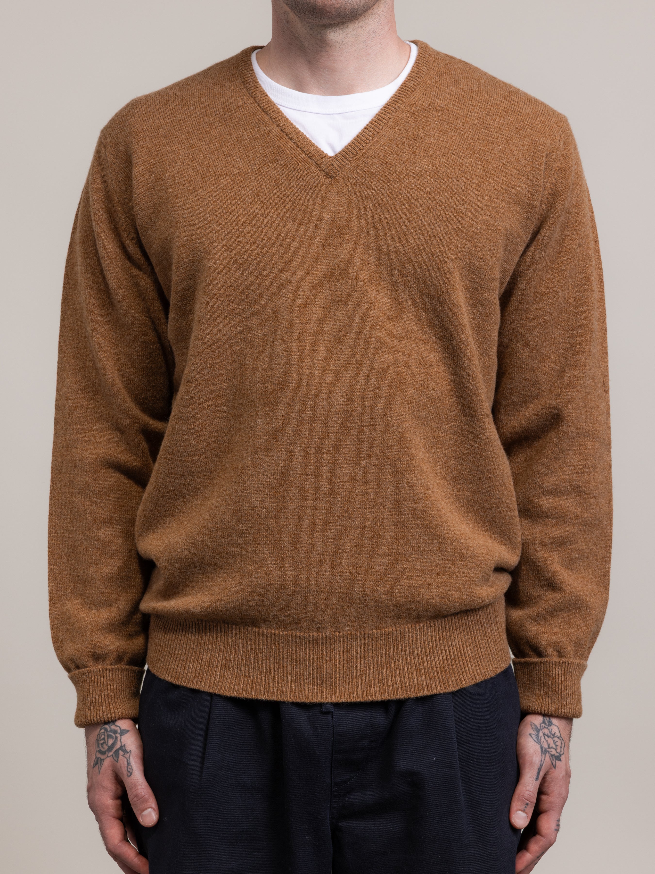 Person wearing a brown v neck sweater over a white t-shirt with a white background