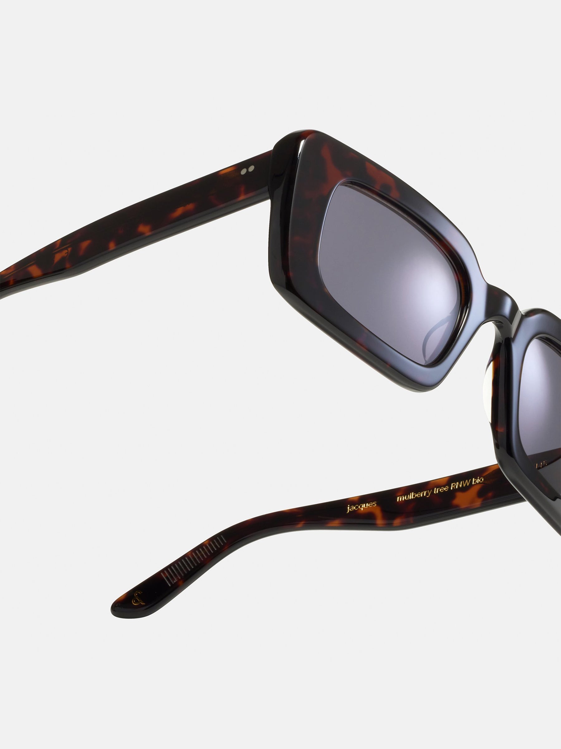 Ace & Tate Jacques Sunglasses in Mulberry Tree
